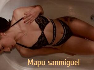 Mapu_sanmiguel
