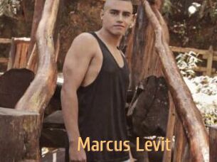 Marcus_Levit
