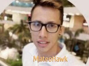 MateoHawk