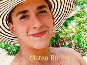 Mateo_Bunny
