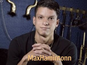 MaxHamintonn