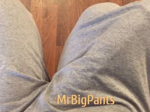 MrBigPants
