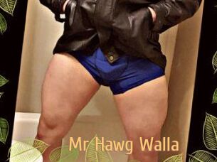 Mr_Hawg_Walla