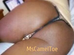 MsCamelToe
