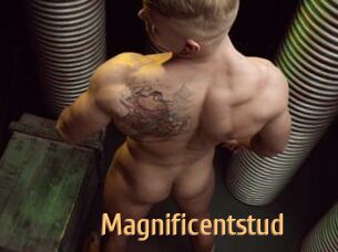 Magnificentstud
