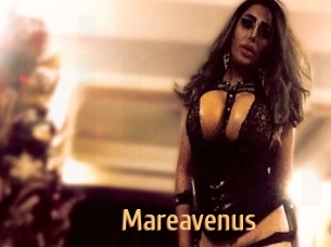 Mareavenus