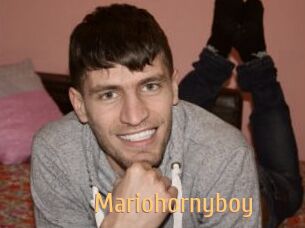 Mariohornyboy