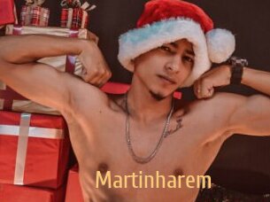 Martinharem