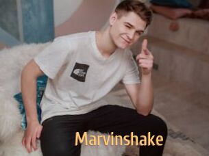 Marvinshake