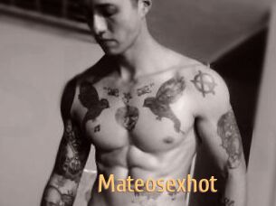 Mateosexhot