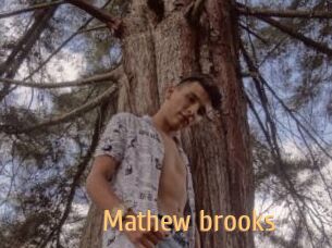 Mathew_brooks