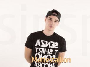 Mattestallion