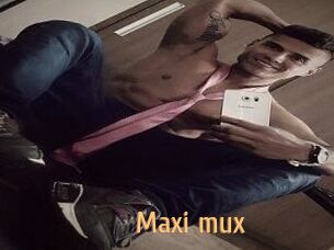 Maxi_mux
