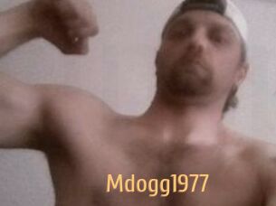 Mdogg1977