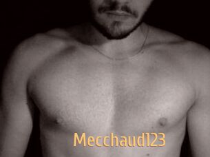 Mecchaud123