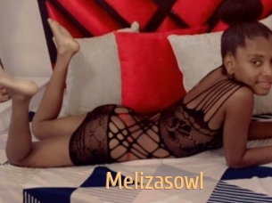 Melizasowl