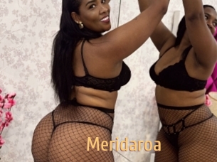 Meridaroa