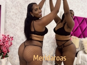 meridaroas Single Spass