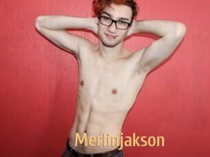 Merlinjakson