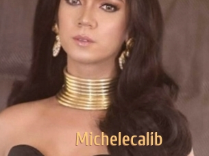 Michelecalib