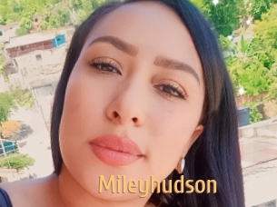 Mileyhudson
