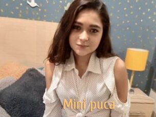 Mini_puca