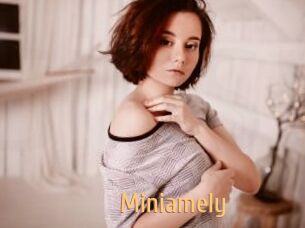 Miniamely