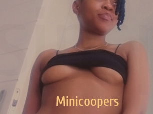 minicoopers Single Spass