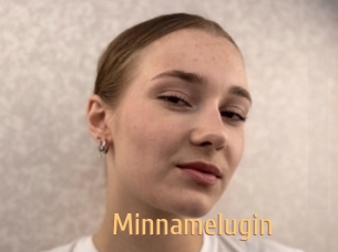 minnamelugin Single Spass