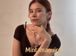 mintamaguire Single Spass