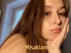 Misakiamane