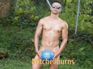Mitchellburns