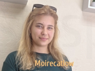 Moirecatlow