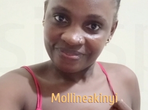 Mollineakinyi