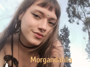 Morgandahlia