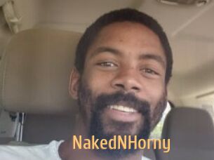 NakedNHorny