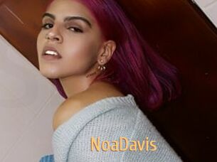 NoaDavis