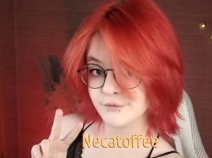 necatoffee Single Spass