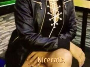 Nicecattx