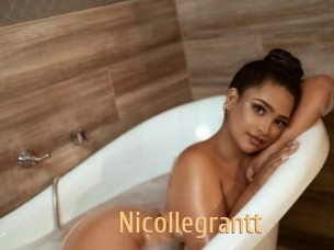 nicollegrantt Single Spass