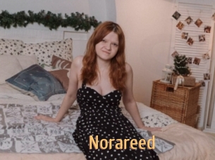 norareed Single Spass