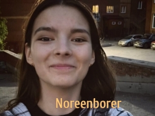 Noreenborer
