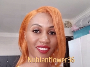 nubianflower36 Single Spass