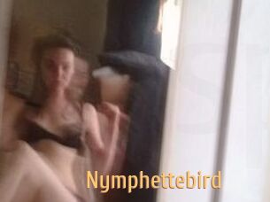 Nymphettebird