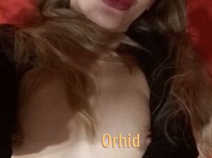 Orhid