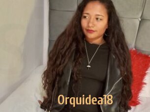 Orquidea18