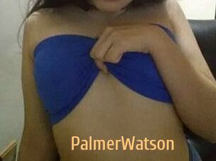 PalmerWatson