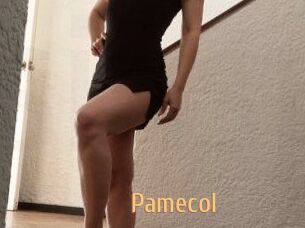 Pamecol