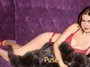 Puse