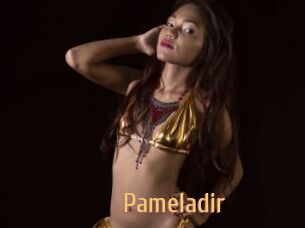 Pameladir